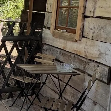 Camping Uebernachtung Bei Den Alpakas Im Naturgarten