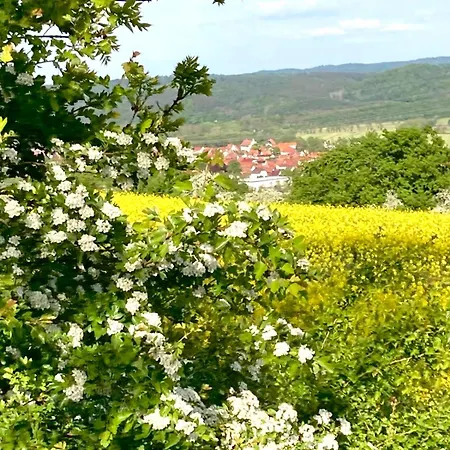 Campeggio Uebernachtung Bei Den Alpakas Im Naturgarten Eigener Schlafsack