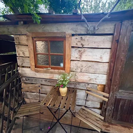 Camping Uebernachtung Bei Den Alpakas Im Naturgarten Hausbreitenbach