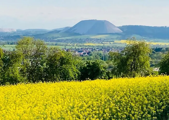 Uebernachtung Bei Den Alpakas Im Naturgarten Eigener Schlafsack キャンプ場 Hausbreitenbach