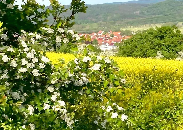 キャンプ場 Uebernachtung Bei Den Alpakas Im Naturgarten Eigener Schlafsack