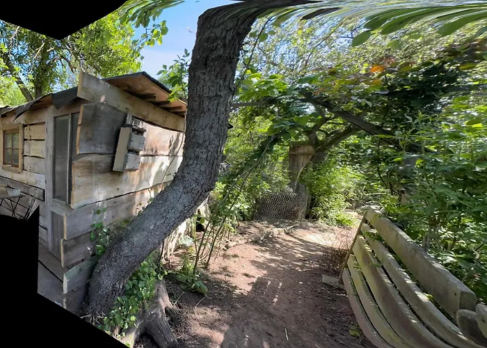 Uebernachtung Bei Den Alpakas Im Naturgarten Eigener Schlafsack キャンプ場 Hausbreitenbach