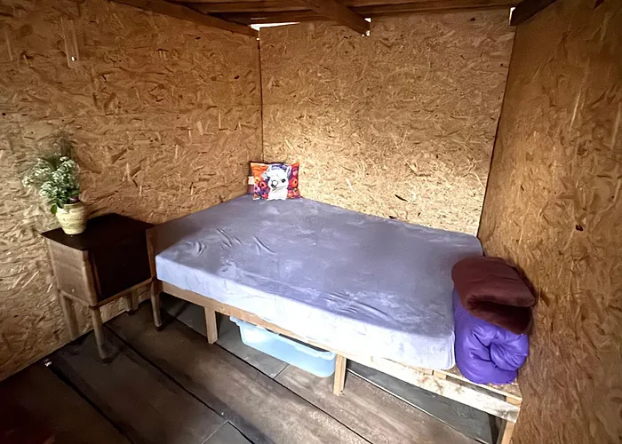 Uebernachtung Bei Den Alpakas Im Naturgarten Eigener Schlafsack Hausbreitenbach